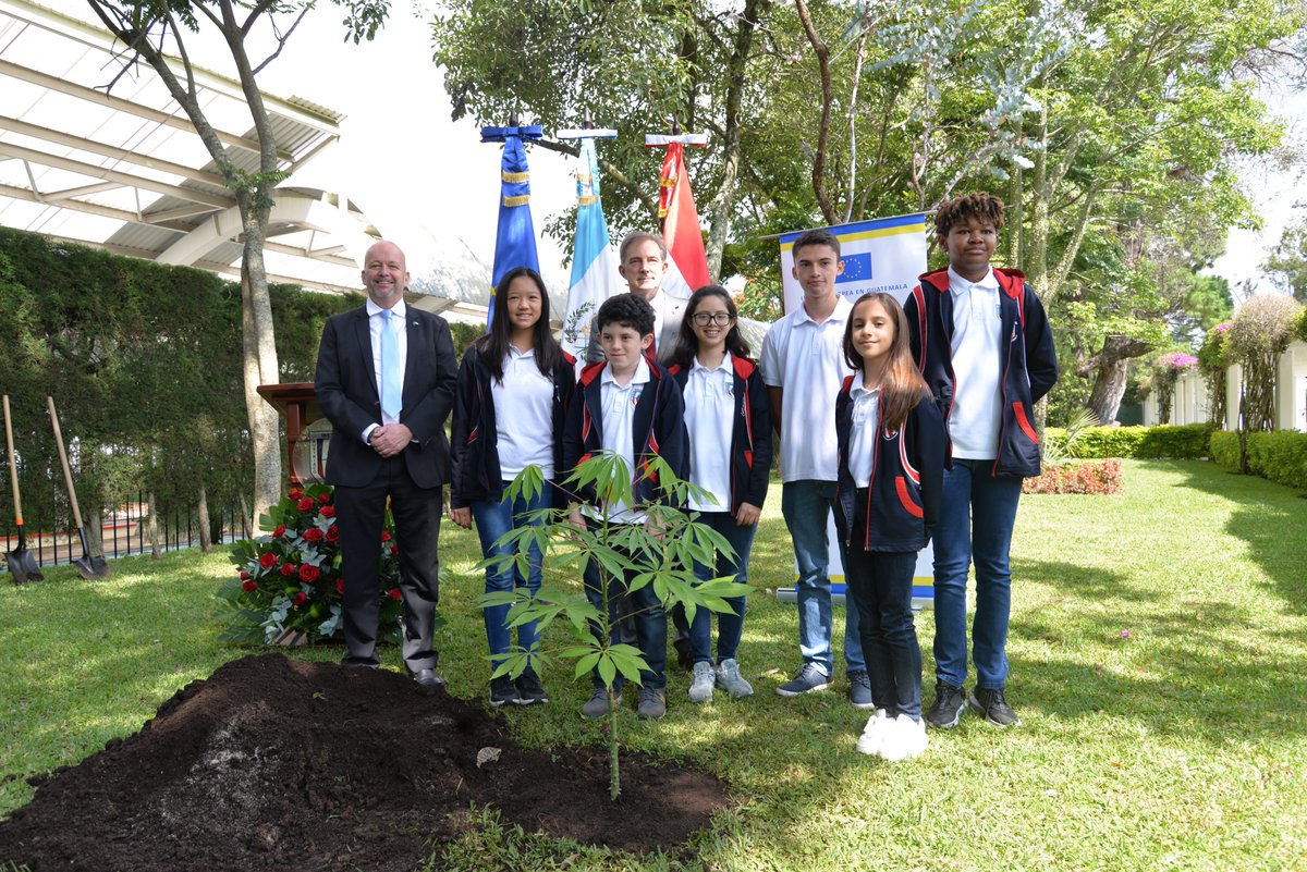UEGuatemala's tweet photo. Gracias a los alumnos del #ColegioAustriaco y del @julioverneGT por haber aceptado nuestra invitación a sembrar una #Ceiba🌳 como símbolo de estas pequeñas acciones que pueden generar grandes cambios.
#EUClimateDiplomacy @EUClimateAction @eu_eeas #United4Climate #ClimaDiplo https://t.co/52xfeiZN2q