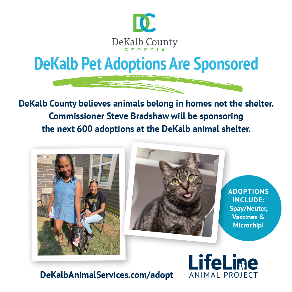 OurTownDeKalb's tweet photo. . @commissionersrb  of DeKalb County sponsoring 600 adoptions at @lifelineanimal  #DekalbCounty! hundreds of best friends waiting to meet you! Adoption includes spay/neuter, vaccines, microchip, and more. See all of the pets available at https://t.co/TyKcehKYKB https://t.co/xLkWM0nYSC