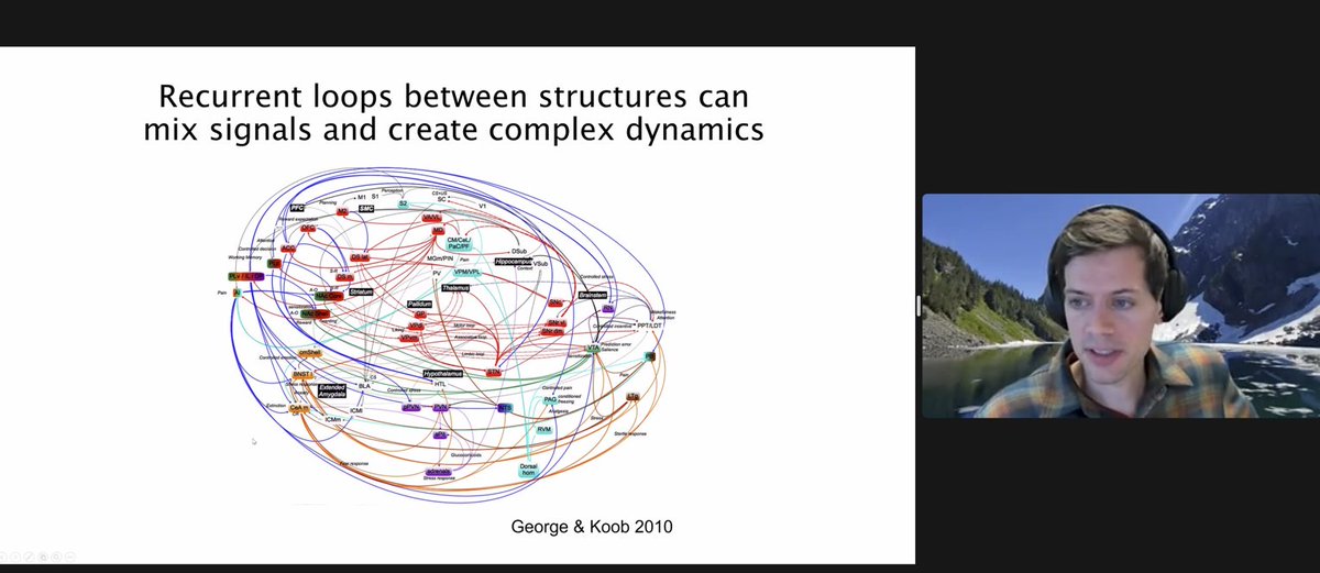 shlizee's tweet photo. Happening now: Nick is talking today in @a3d3institute Colloquium on with exciting research in brain activity recording and analysis https://t.co/ztwMuxW5vc