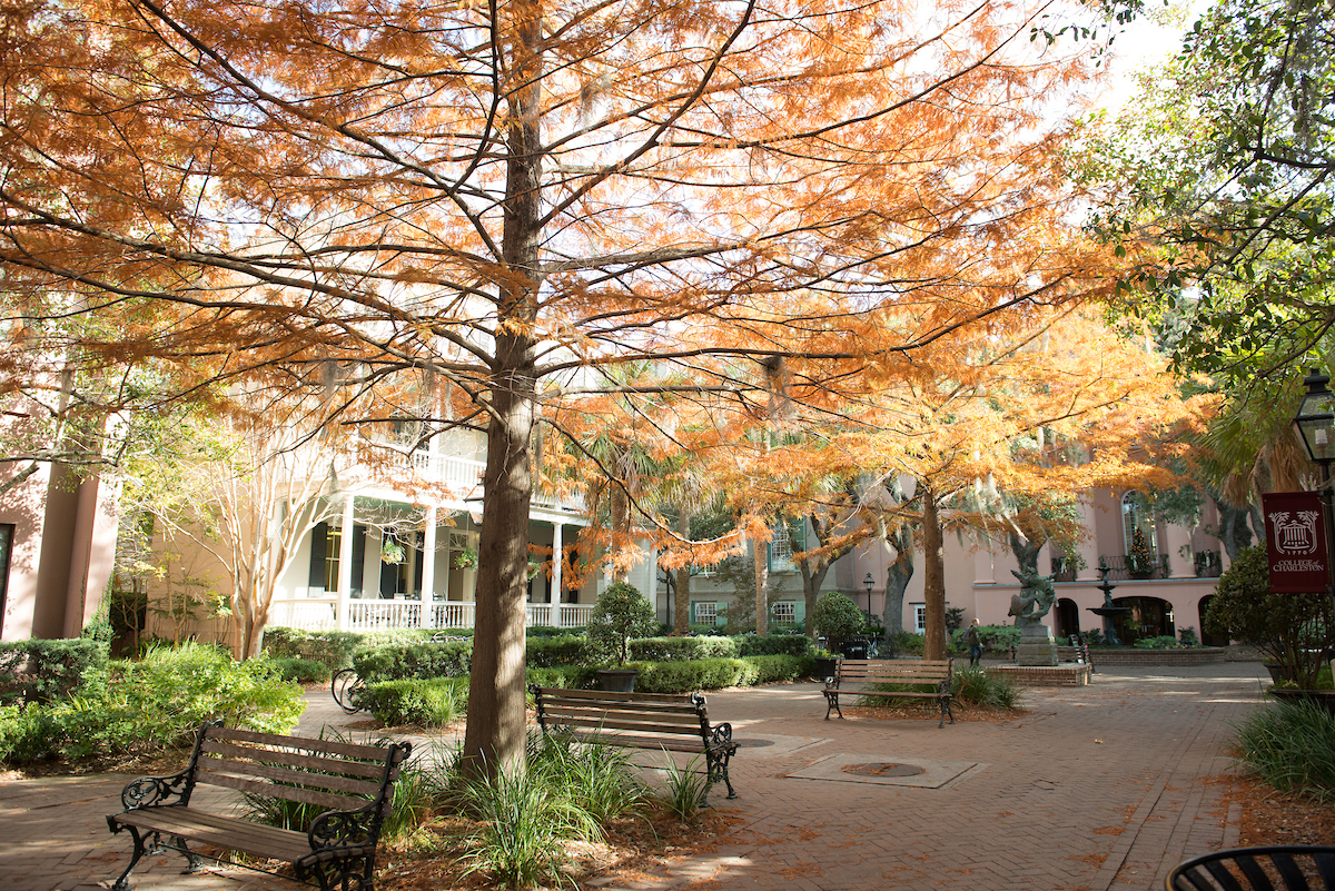 CofC's tweet photo. Fall semester syllabus:
🍂 Embrace cool mornings and 80 degree afternoons
🍂 Drink Pumpkin Spice Lattes
🍂 Show off your school spirit in warm #CofC gear
#collegeofcharleston #charlesto #chs #explorechs #southcarolina #southernschool https://t.co/ivRABpidBA