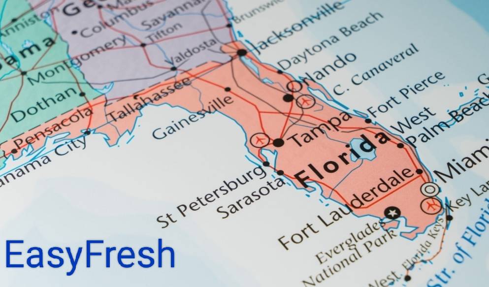 Easyfreshglobal's tweet photo. Very interesting !
The Global Produce & Floral Show 27-29 October, #Orlando, #Florida #USA. #gpfs2022 #freshsummit #contacteasyfresh helpdesk@easyfresh-logistics.com https://t.co/FdfUWcA5fZ