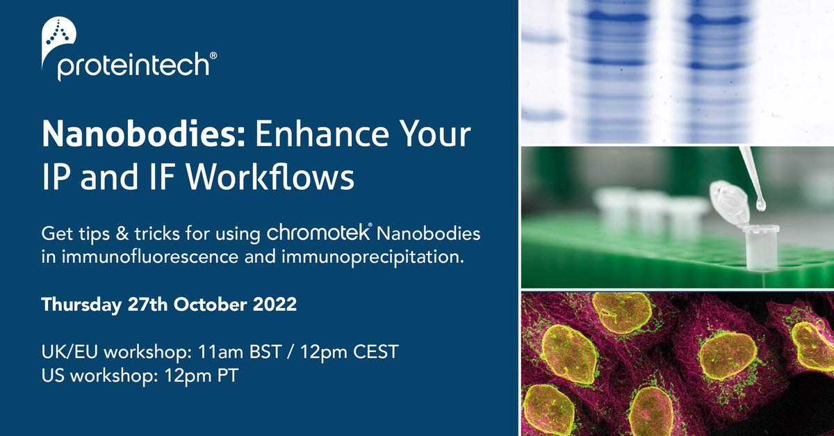 Meg Elley (@meg_elley) on Twitter photo Join <a href="/Proteintech/">Proteintech Group</a>’s webinar this Thursday (27th October) to explore how you can utilise their ChromoTek nanobodies in your IP and IF workflows! Sign up using this link: ptglab.com/news/events/na… Join <a href="/Proteintech/">Proteintech Group</a>’s webinar this Thursday (27th October) to explore how you can utilise their ChromoTek nanobodies in your IP and IF workflows! Sign up using this link: ptglab.com/news/events/na…