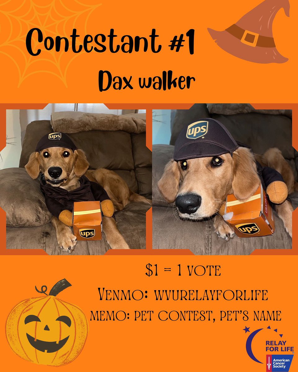 RelayWVUandMON's tweet photo. Pet costume contest contestants! https://t.co/J8yeXLgM24