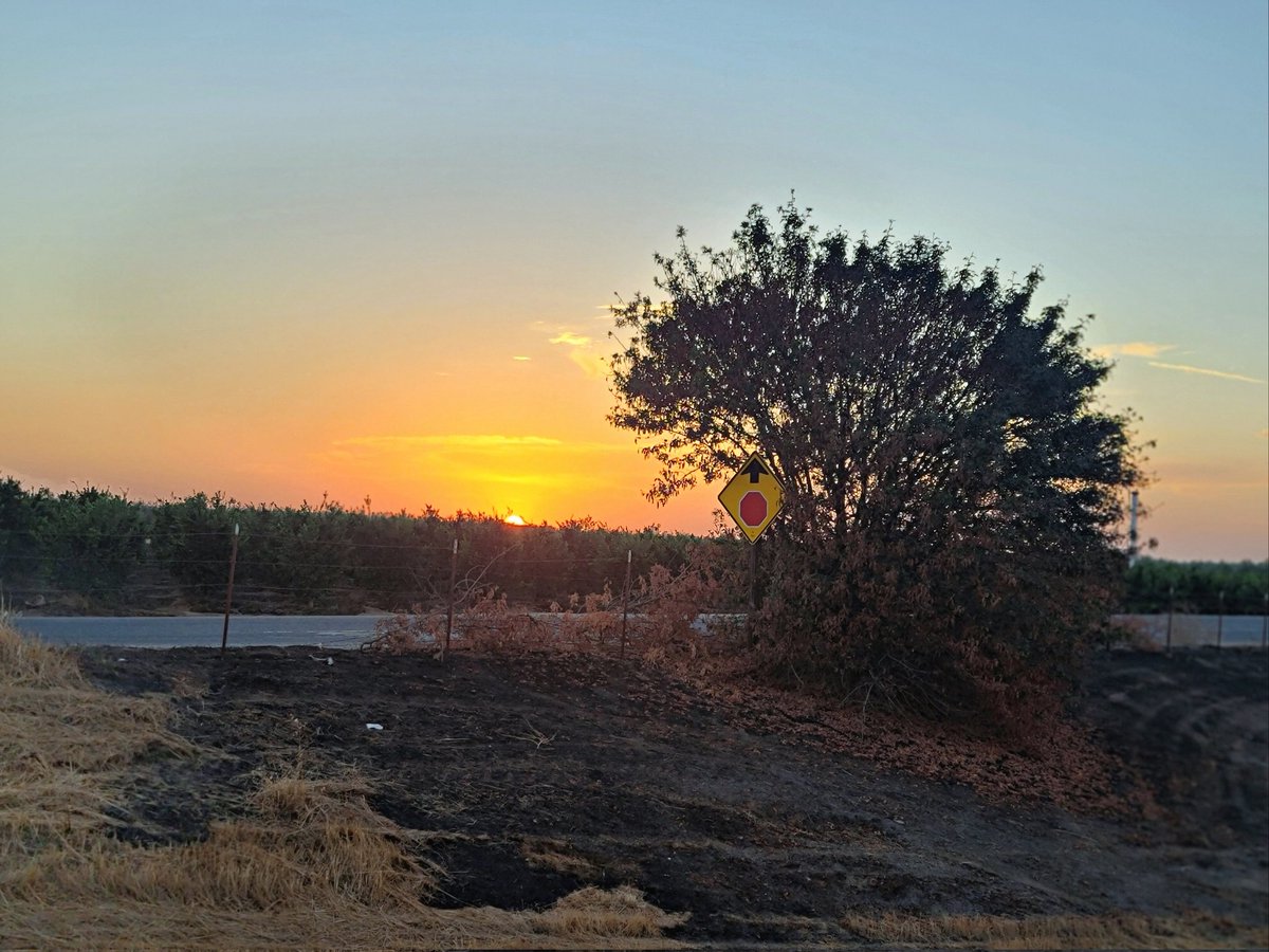 #RoadTripped to Sequoia National Park + Death Valley. Sometimes I forget how beautiful the world can be 🌻🌈❤️ #deathvalley #sequoianationalpark
Maybe if we spent more time appreciating our surroundings, we would spend less time fighting over stupid shit.🌺