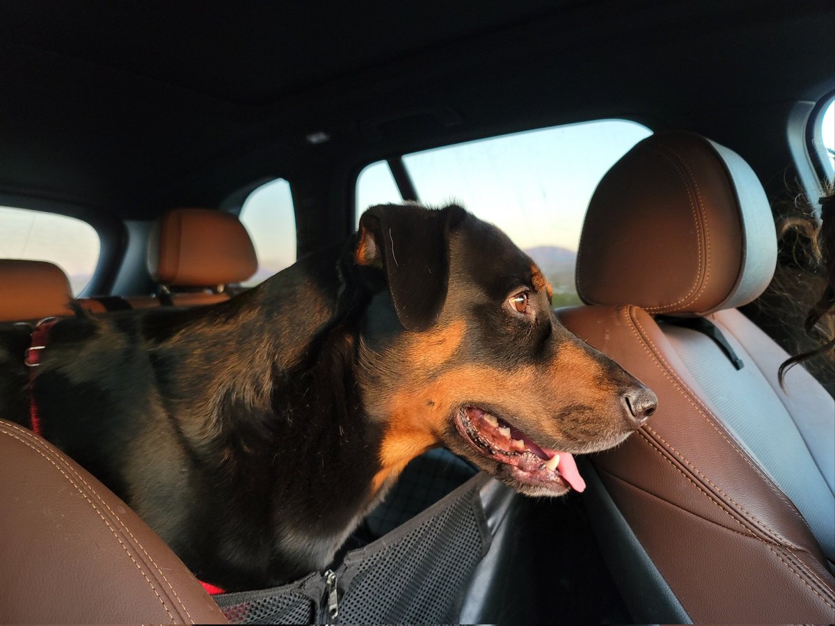 Kate Spivak tweet media