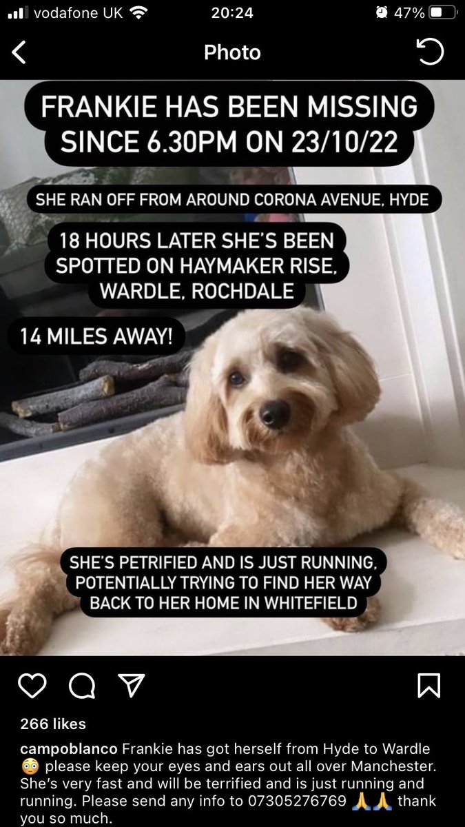 Come on Twitter do your thing. Please help!!! Contact details on the photo if anyone has any info. 😢