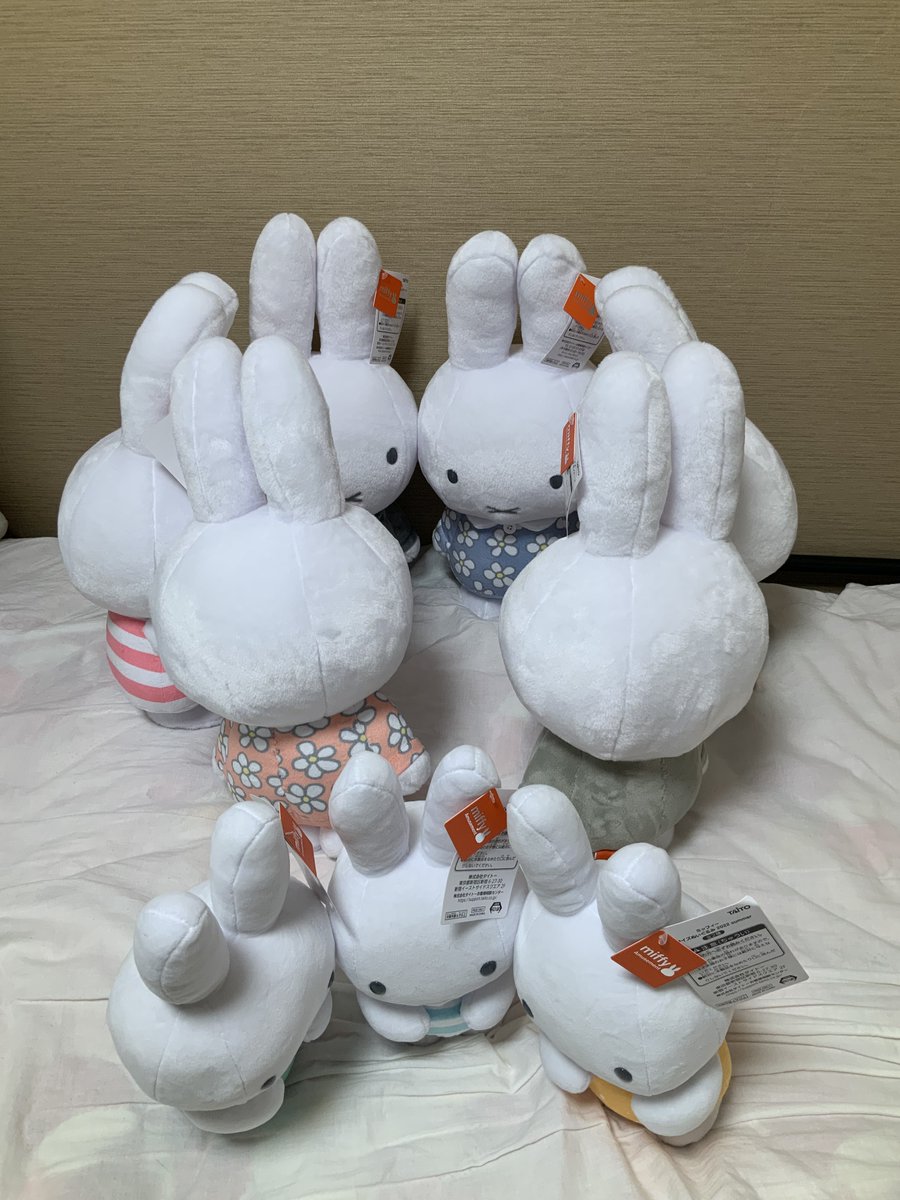 matsuken5's tweet photo. ミッフィーちゃんたち、審議中（特に意味はない） https://t.co/HOFVK0VRXW