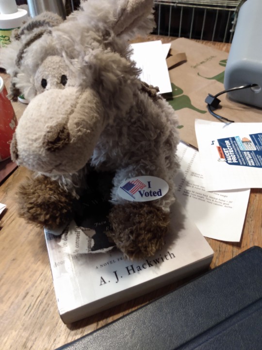 Altivo's tweet photo. We voted. This is a crucial election for the US, folks. Don't skip it. Do whatever you have to do, but vote, including on the judges, clerks, and such who are far down your ballot. Democracy itself is at stake. https://t.co/TXzlcMuRqx