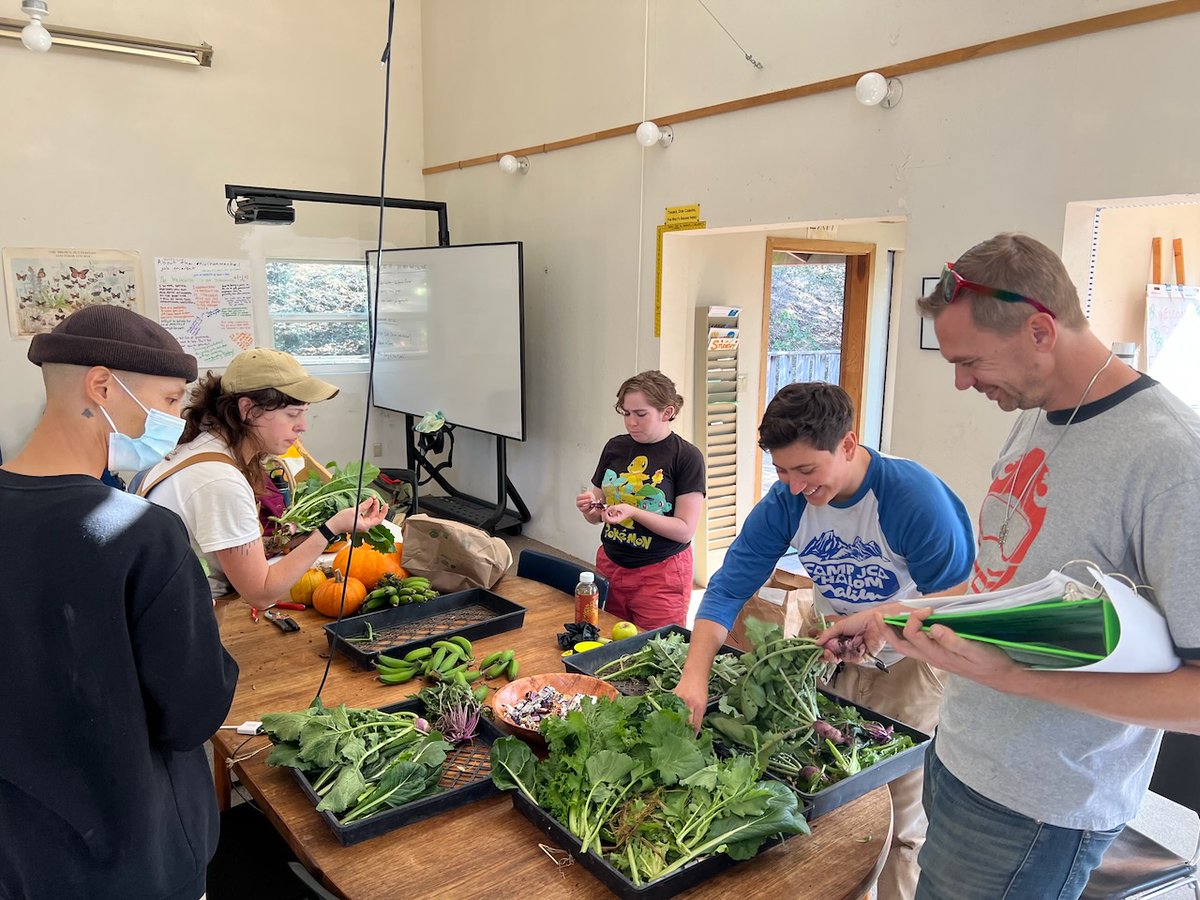 NhsMerritt's tweet photo. There's nothing like a harvest day! Our students love picking produce from our own little farm to share with friends and family. #growyourown #farmtotable #sustainable https://t.co/gmImdHNxou