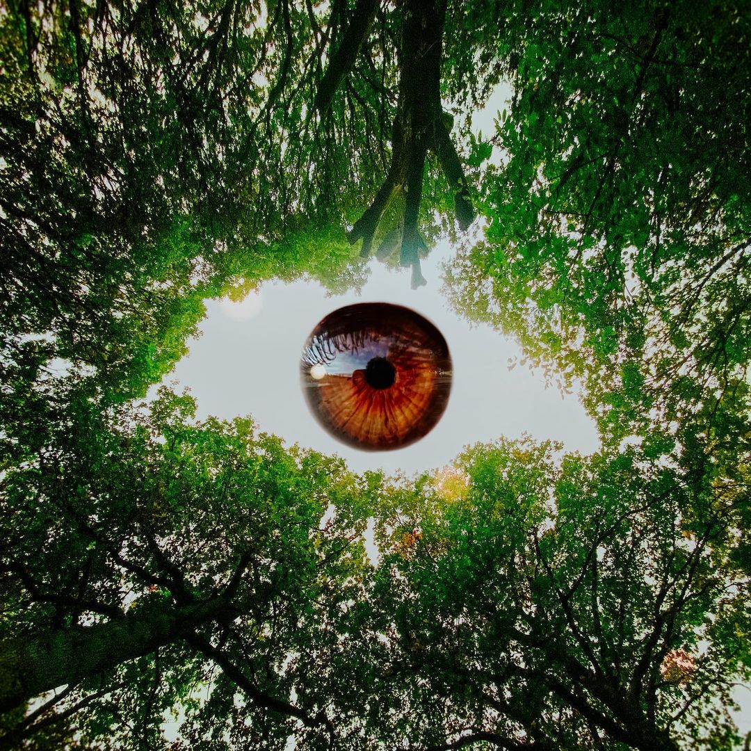 Eye-opening 👁
© Monica Carvalho
☞ <a href="/mofartmonica/">Monica Carvalho</a>
