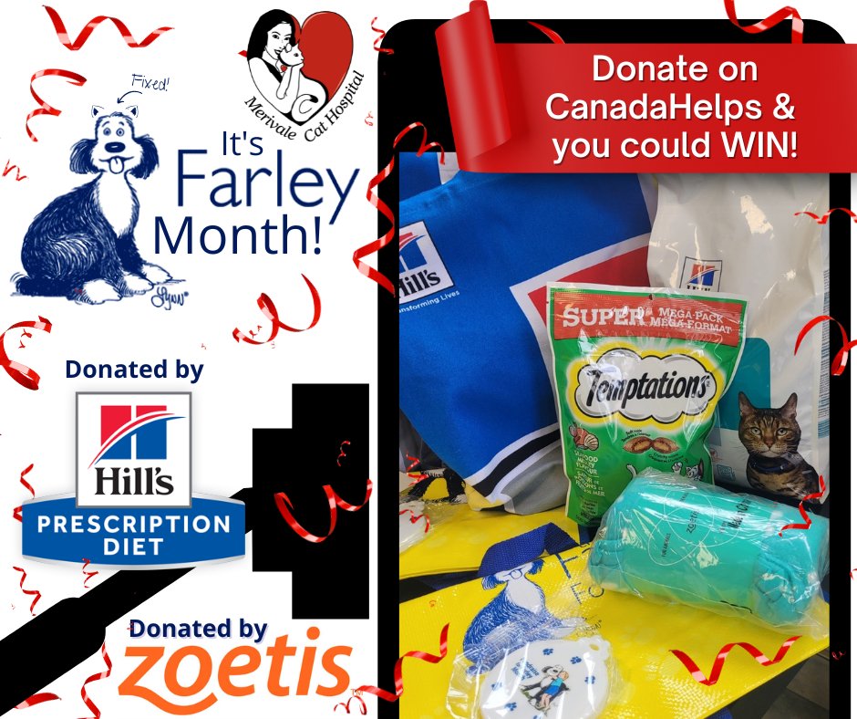 TheCatHospitals's tweet photo. Donate to the #MerivaleCatHospital #FarleyMonth fundraiser for .@Farleyfndation & be entered in our prize draw! This prize was donated by our fur-iends at .@HillsPet & .@Zoetis!
Donate via CanadaHelps! https://t.co/RF8Uh7kxHq
#CatsofTwitter #OVMA .@canadahelps #CanadaHelps https://t.co/EaKfoS9dmx