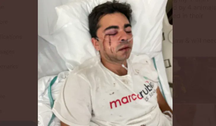 BREAKING: Four Liberal Attackers Brutally Assault Marco Rubio Supporter buff.ly/3FfnMDo