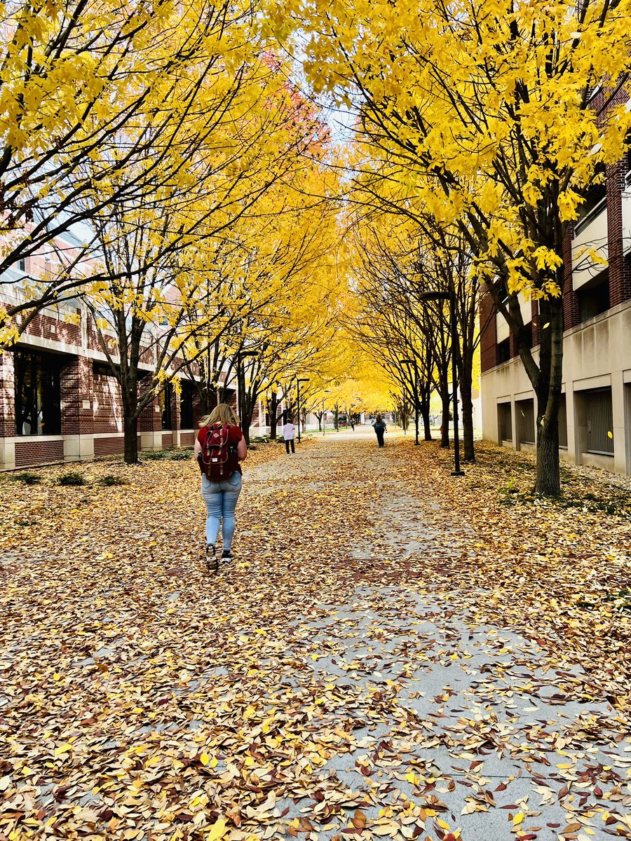 Brent Bagley tweet media