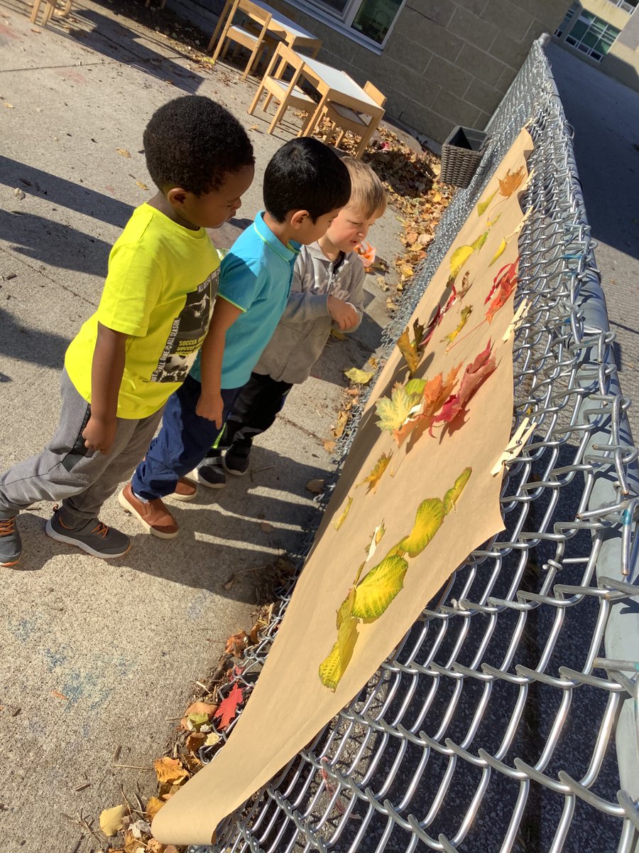 JBrentECE's tweet photo. Mother Natureโs gifts give us everything we need for terrific #mathchat fun!
Matching, #10Frame, #LifeCycle, Same & Different https://t.co/7Sh9KEq9Ue