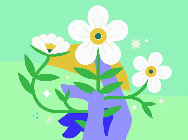 ForestRemedies's tweet photo. Get to know Ahiflower! 🌼 Grown using regenerative farming practices. 🐝 Adds biodiversity to the land and provides good habitat for bees &amp; butterflies. 🐠 It’s estimated that each acre yields as much Omega-rich oil as 320k anchovies. https://t.co/B8gxMrq33T https://t.co/vc86BBtbVs