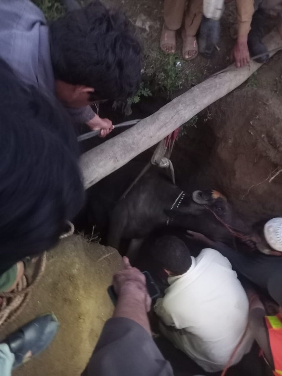 Rescue1122Buner's tweet photo. *ریسکیو1122بونیر/ریکوری ایمرجنسی* 

بونیر:دِن کا اجالا ہو یا رات کی تاریکی،

 بونیر: گاوں حاجی آباد میں ایک بھینس گہرے کنویں میں گرگئی۔

بونیر: ریسکیو 1122 بونیرکے ڈیزاسٹر ٹیم نے بروقت موقع پر پہنچ کر پیشہ ورانہ مہارت کیساتھ بھینس کو  کنویں سے  زندہ سلامت باہر نکال دیا ، https://t.co/4VeepLclzu