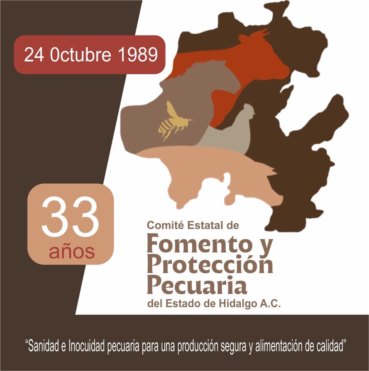 cefpphidalgo's tweet photo. Desde el año de 1989 nos mostramos entusiastas y nuestro esfuerzo nos ha llevado a alcanzar altos estándares en la Sanidad e Inocuidad Pecuaria del Estado de Hidalgo.

¡Celebramos 33 años de vida y vamos por muchos más! https://t.co/lAe2uGGaMg