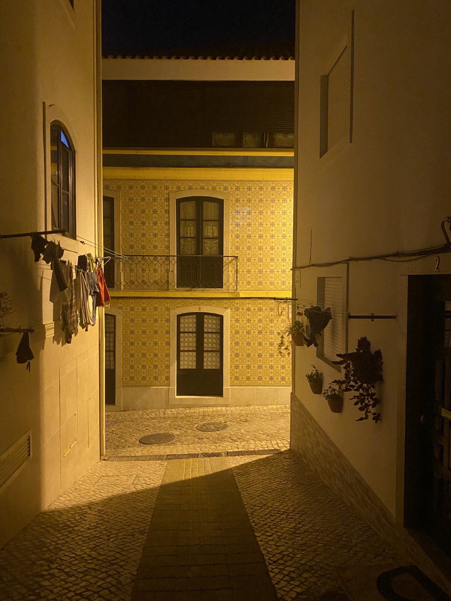 akruidhof12's tweet photo. #LittleStreet https://t.co/CLQxpCCznQ