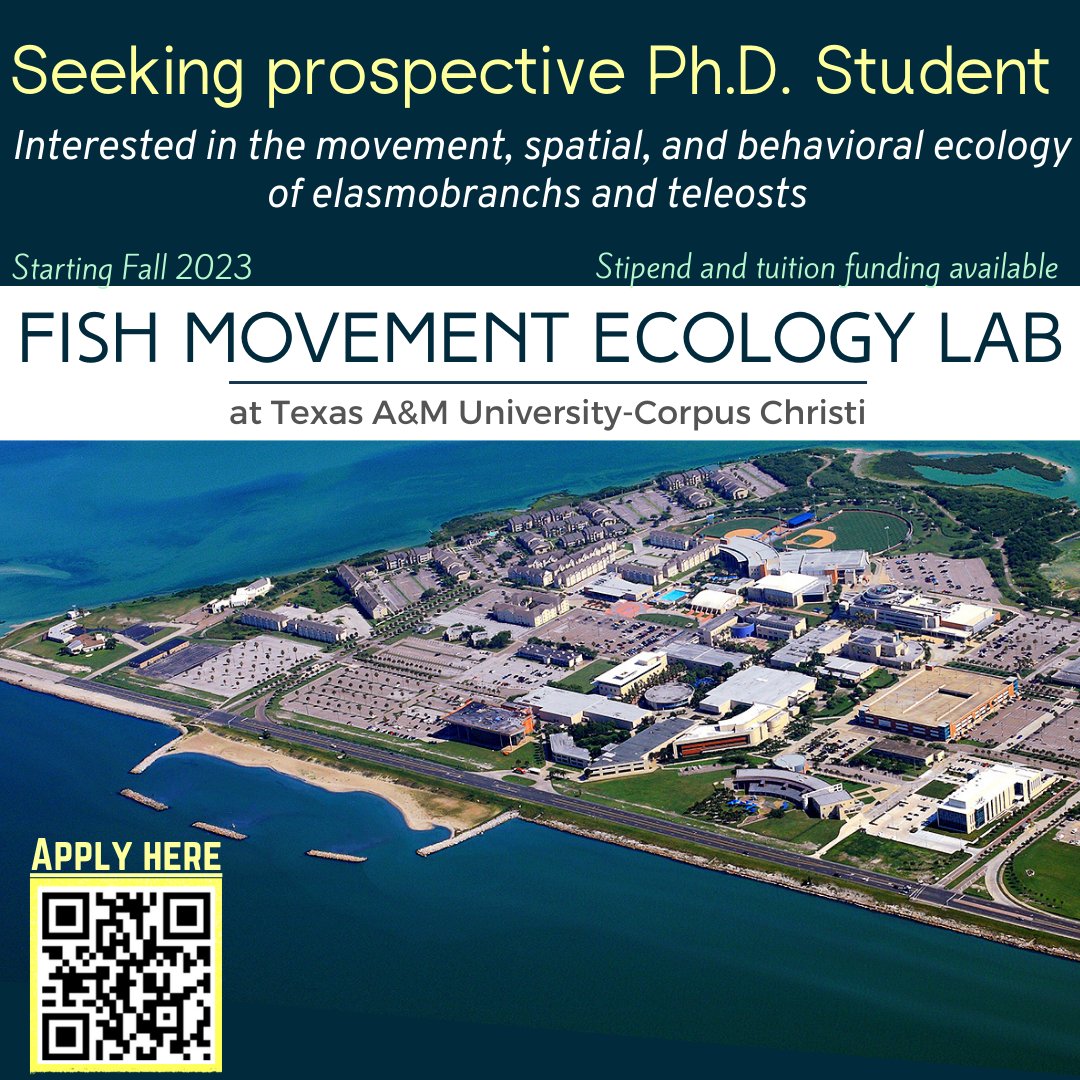 Dr. Danny Coffey (@drelasmo) on Twitter photo The Fish Movement Ecology Lab at <a href="/IslandCampus/">Texas A&M-Corpus Christi</a> is recruiting a Ph.D. student for Fall 2023! Stipend and tuition funding available. Please apply using the link forms.gle/9fVed3SvS3KvVD… or QR Code below. Please RT! <a href="/ElasmoSociety/">Elasmobranch Society</a> <a href="/AmFisheriesSoc/">American Fisheries Society</a> <a href="/FutureIslander/">TAMU-CC Admissions</a> The Fish Movement Ecology Lab at <a href="/IslandCampus/">Texas A&M-Corpus Christi</a> is recruiting a Ph.D. student for Fall 2023! Stipend and tuition funding available. Please apply using the link forms.gle/9fVed3SvS3KvVD… or QR Code below. Please RT! <a href="/ElasmoSociety/">Elasmobranch Society</a> <a href="/AmFisheriesSoc/">American Fisheries Society</a> <a href="/FutureIslander/">TAMU-CC Admissions</a>