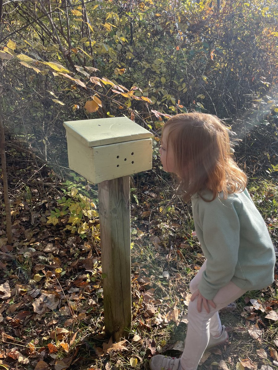 HorvathOwlStars's tweet photo. Team Owl-Stars #sensingnature on this beautiful fall morning! ☀️🍁🍂 Thanks to our amazing chaperones, guides @lesliesnc and @HarvestElemPTA for supporting the trip! 🧡 #harvestlearn #sascompass https://t.co/gjZXQnmgEH