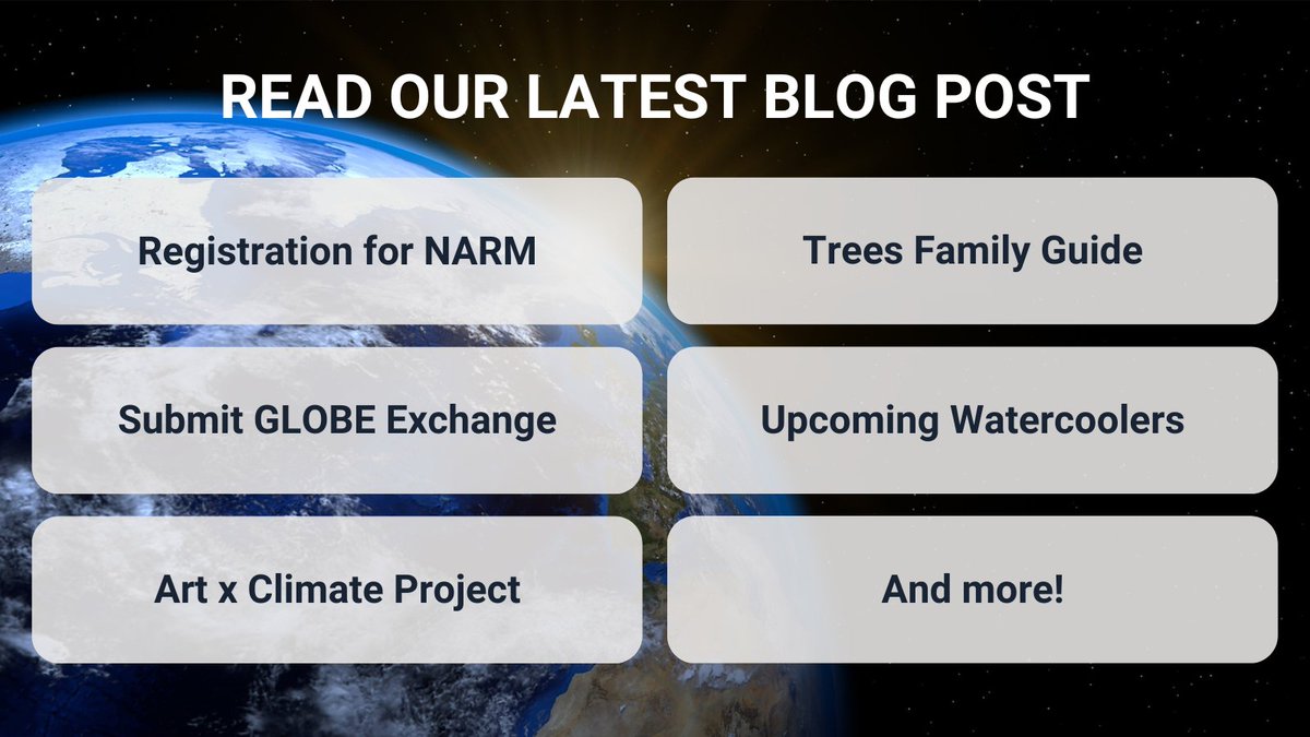 United States GLOBE tweet media