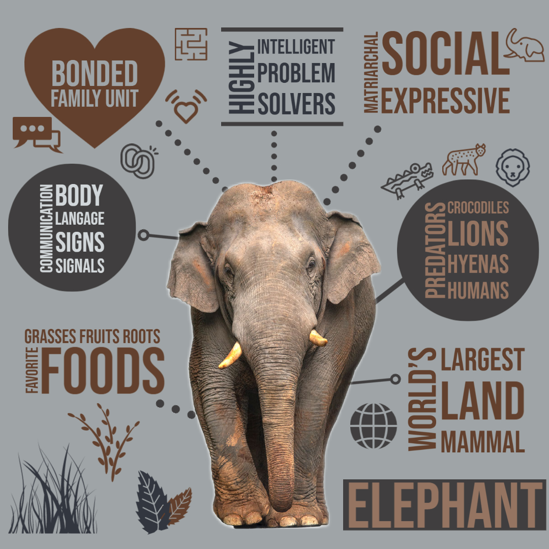 elizbtheastman's tweet image. 🛸🛰️#Creatathon #TCCA2022 
Thx @ClaudioZavalaJr @TCCAConf! #AdobeEduCreative