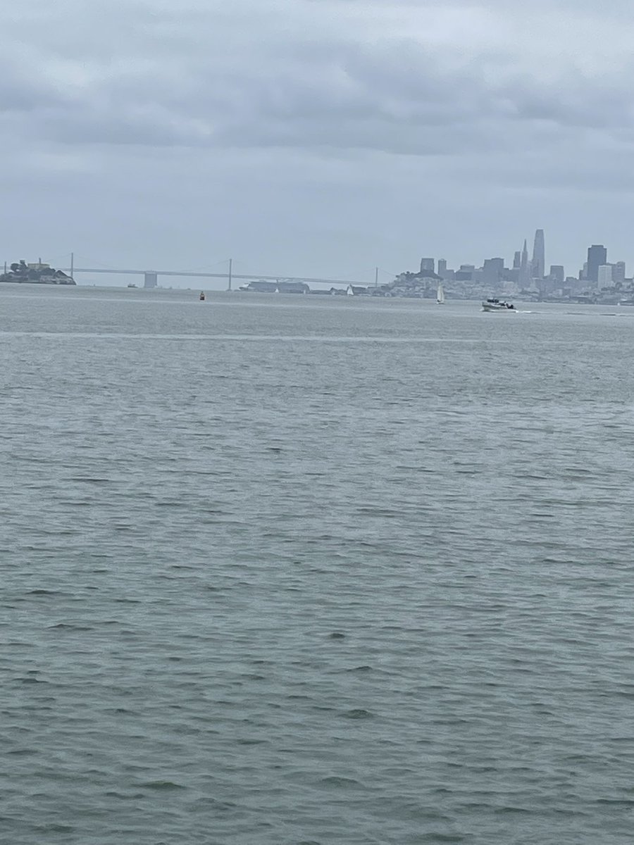 DJKadash25's tweet photo. #PoderosoInternational Saludos desde Sausalito,
CA. Aquí humildemente desayunando unas enchiladas de cangrejo… https://t.co/7ltNmVh0xB