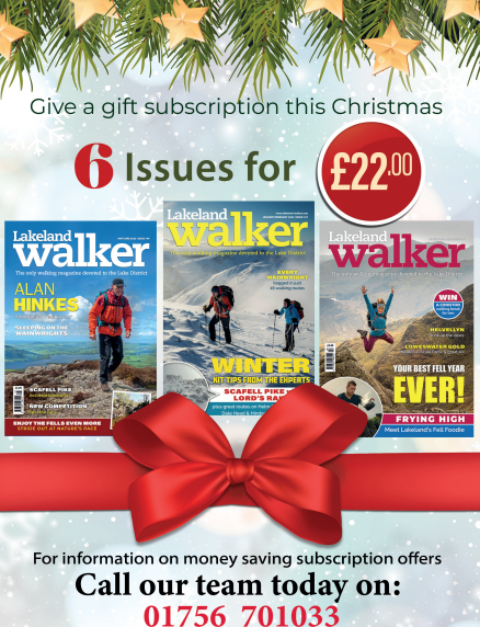 Lakeland Walker (@lakelandwalker) on Twitter photo 