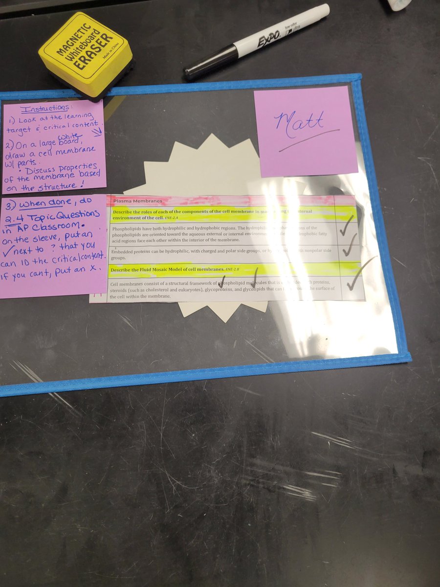 Mrs. Russo's "Thinking Classroom" today during AP Bio.  Students utilized vertical and table top surfaces to review key concepts. <a href="/BravermanHHS/">Jeremy Braverman-Howell HS Principal</a>