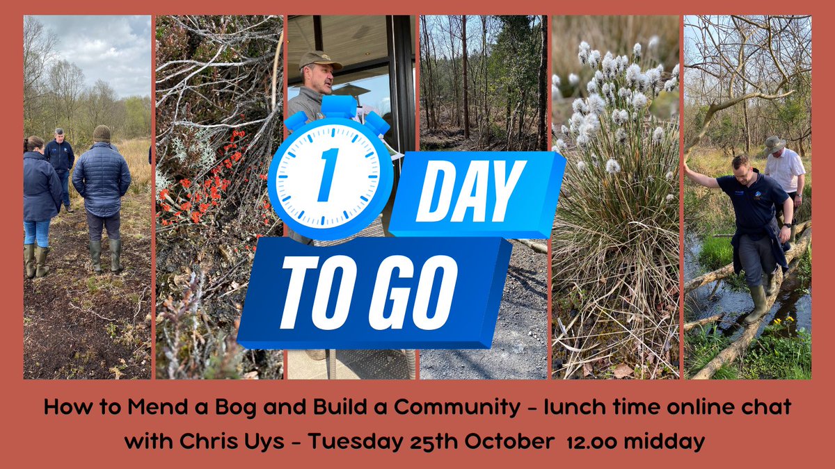 The CANN Project tweet media