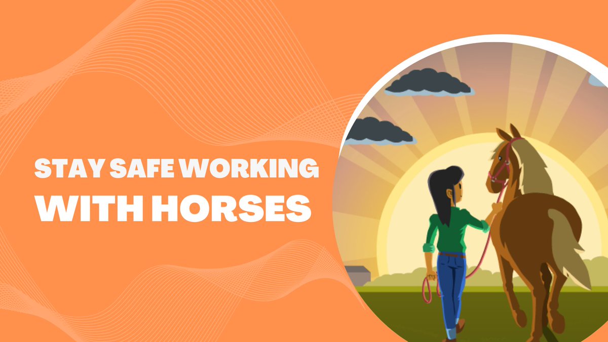 NMSUProductions's tweet photo. Did you know that there are fun ways of learning how to catch and halter a horse? The interactive module “Stay Safe Working With Horses” makes learning about horses more fun and simple.
#learningthroughplay #horsebehavior #educational
https://t.co/gZhAWM3KZM https://t.co/rmFIgmewEG