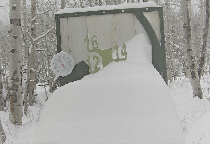 MikeFosterCBC tweet picture