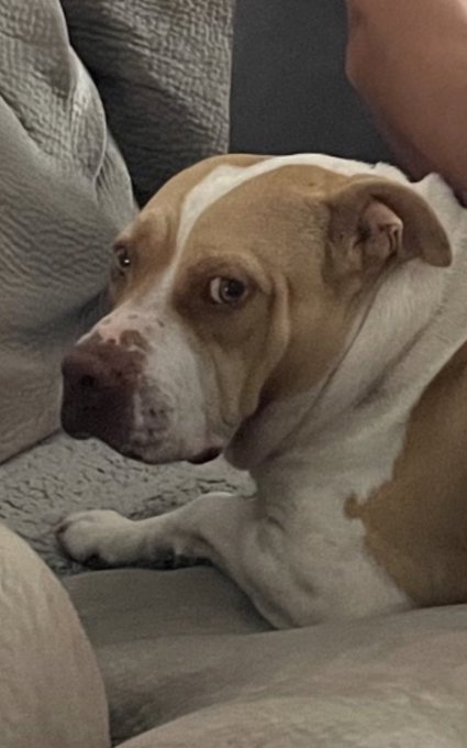 @simulationleadr https://t.co/er1Pz3hauj<a class="tags" target="_blank" title="On Twitter" href="/?out=eyJ0eXAiOiJKV1QiLCJhbGciOiJIUzUxMiJ9.eyJpYXQiOjE3MjE2MTU5NDgsImlzcyI6InR3cG9ybnN0YXJzLmNvbSIsIm5iZiI6MTcyMTYxNTk0OCwiZXhwIjoxNzUzMTUxOTQ4LCJyZWRpcmVjdF91cmwiOiJodHRwczovL3R3aXR0ZXIuY29tL3NpbXVsYXRpb25sZWFkciJ9.1LS1dKAPdsVb8nAx7G8PoYGtXbLSVkSg7EUkemjyjGES4Fulj0Q9KmdZABrYfrFE359fDlUGRAHGvFV_amDz-g">@simulationleadr</a>