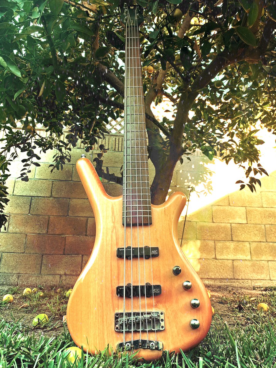 CodingoJones's tweet photo. Took my bass out for a little photo shoot yesterday https://t.co/Wd3xr6M86T