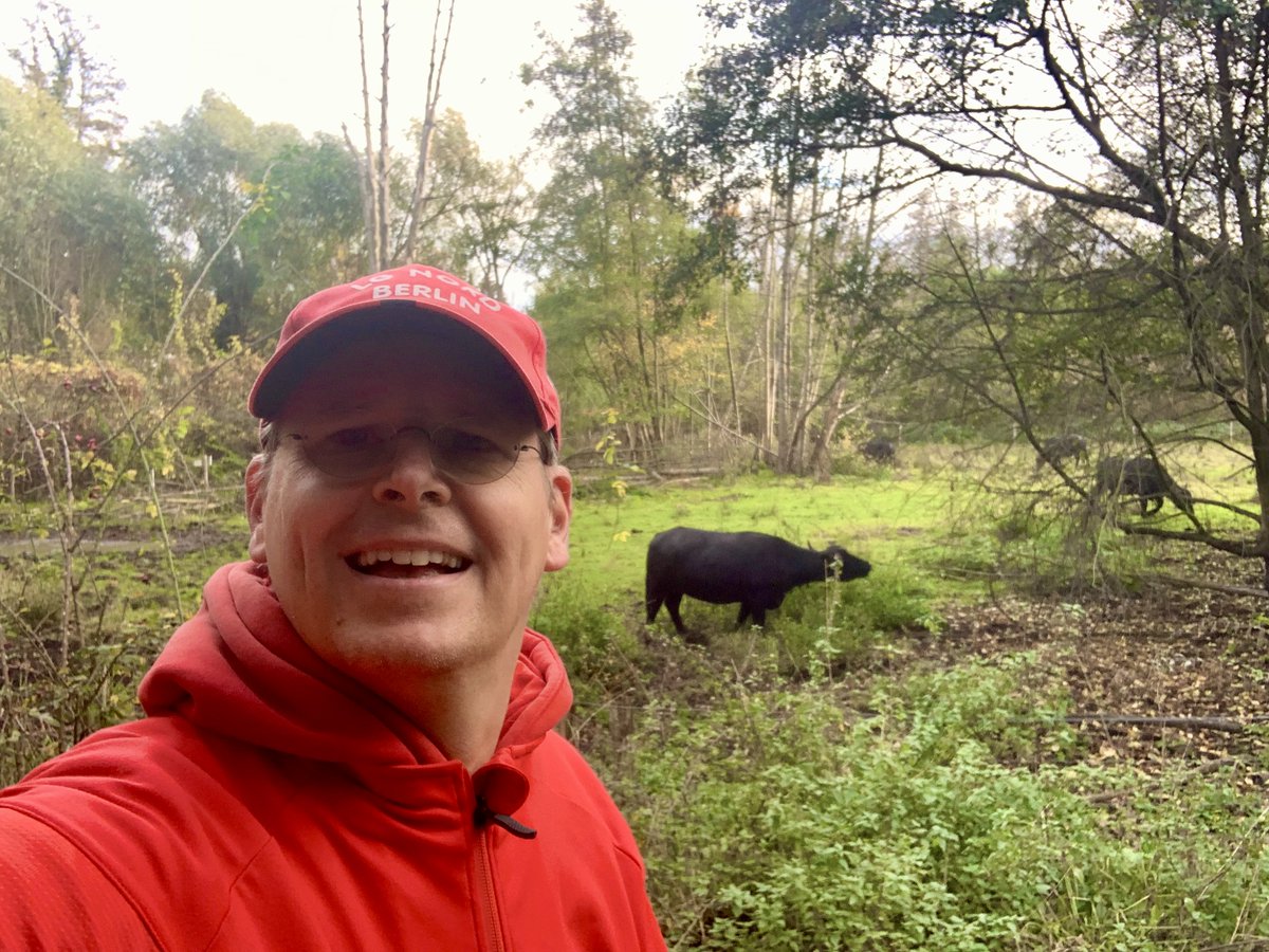 TobiasDollase's tweet photo. Wußte gar nicht mehr, wie nett sich #Urlaub anfühlt; #Stadtsafari, #TegelerFließ, #OneWeekOff. https://t.co/3a0ZuvKgvV
