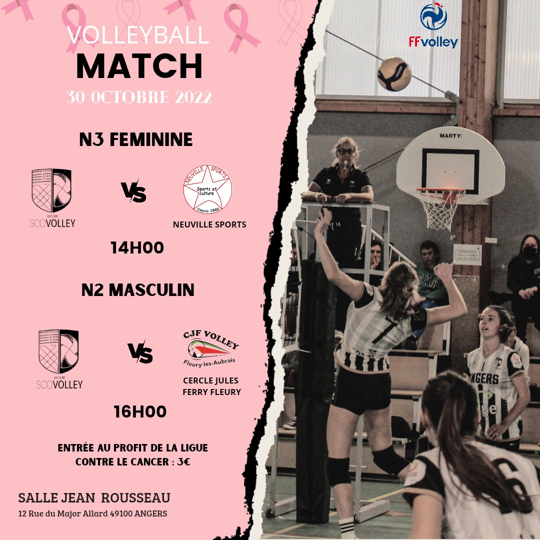 scoangersvolley tweet media