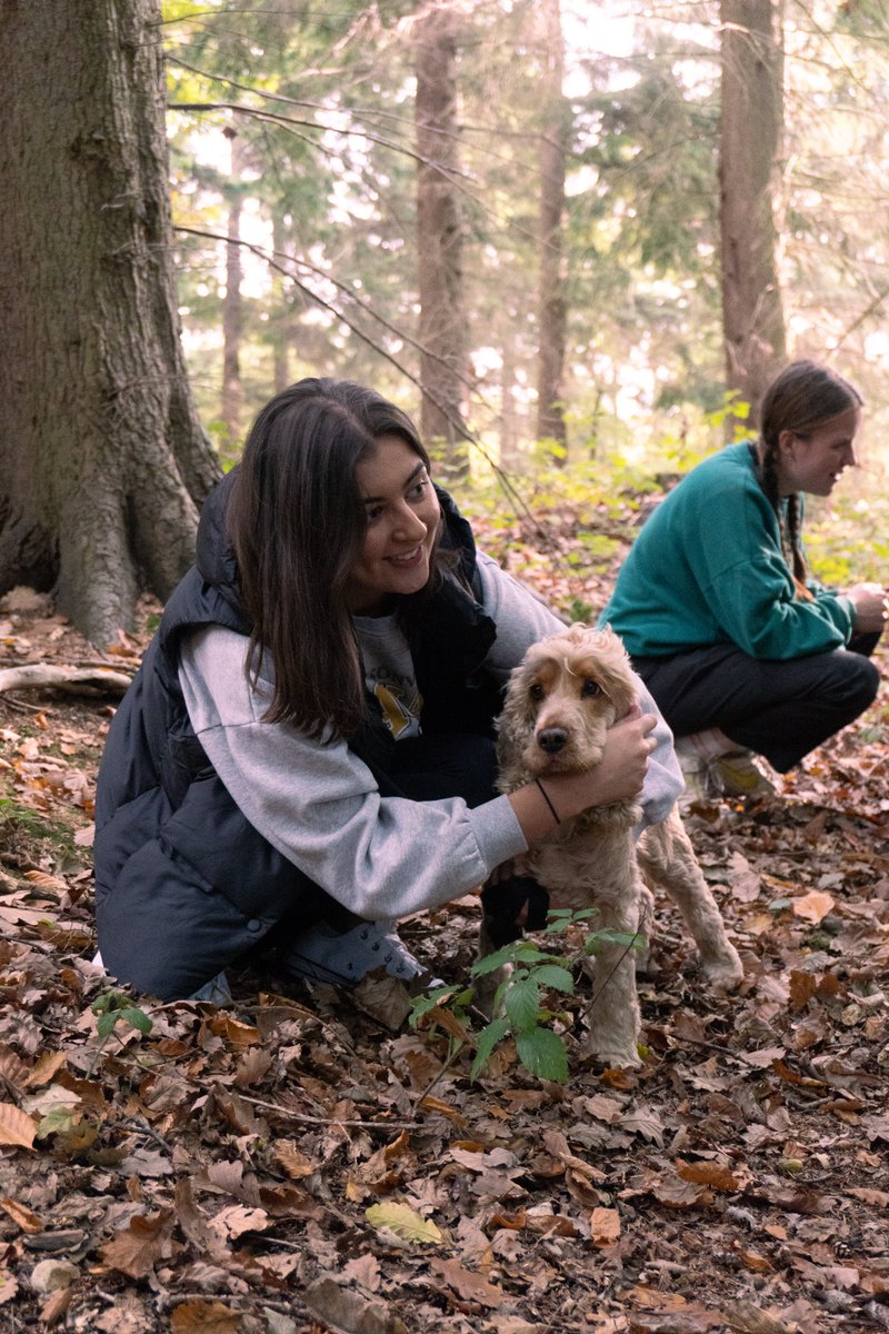 Christ Church Moves tweet media