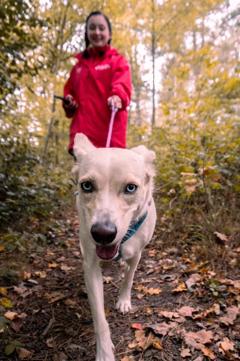 Christ Church Moves tweet media