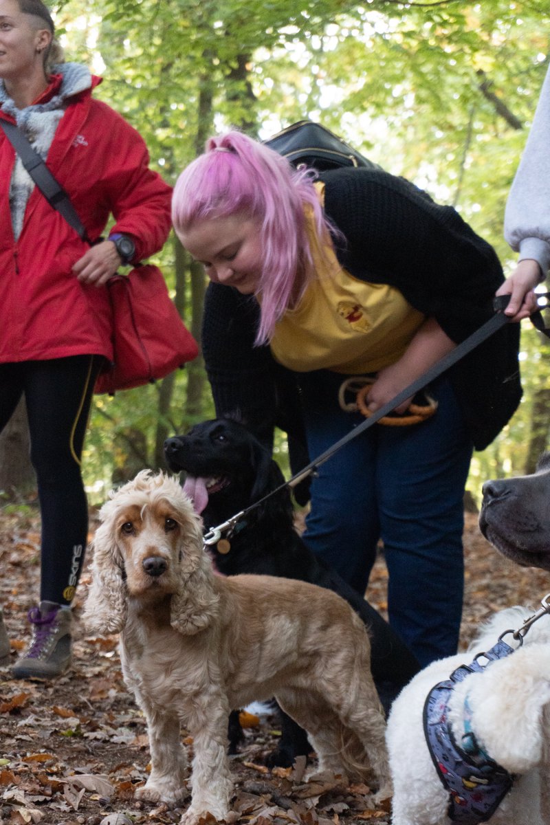 Christ Church Moves tweet media