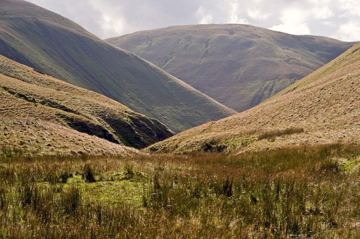 William Wordsworth referred to the rolling Howgill Fells as ‘the naked heights’ whilst Alfred Wainwright famously compared them to squatting elephants.
Roger Butler takes us on a walk up The Howgill Fells.
shop.dalesman.co.uk/lakeland-walke…