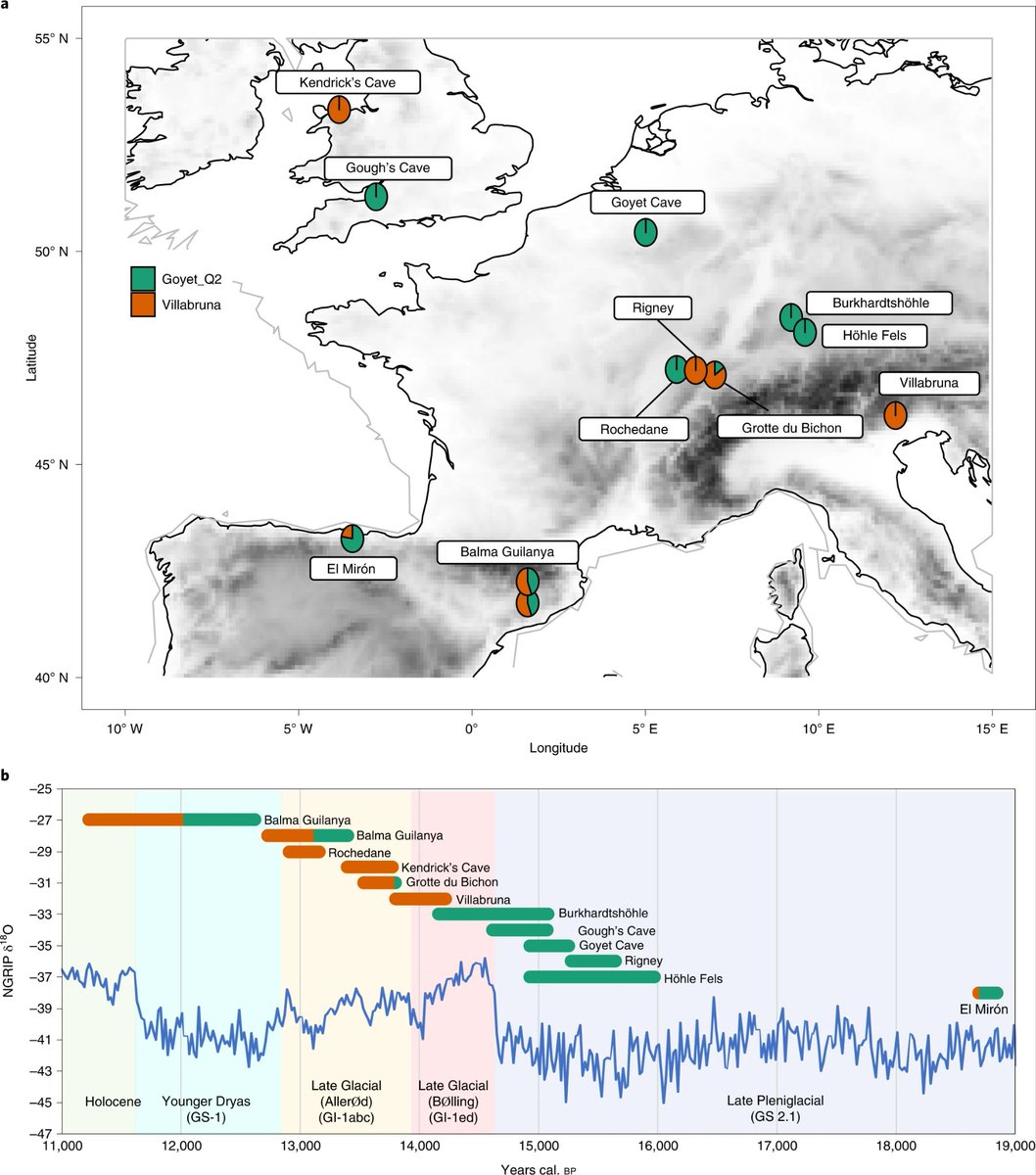 Dual ancestries and ecologies of the Late Glacial Palaeolithic in Britain Sophy Charlton @MatejaHajdi @tommyhigham @ChrisStringer65 @NannonStevens et al nature.com/articles/s4155… Investigations of Upper Palaeolithic Eur. reveal a complex transformative history