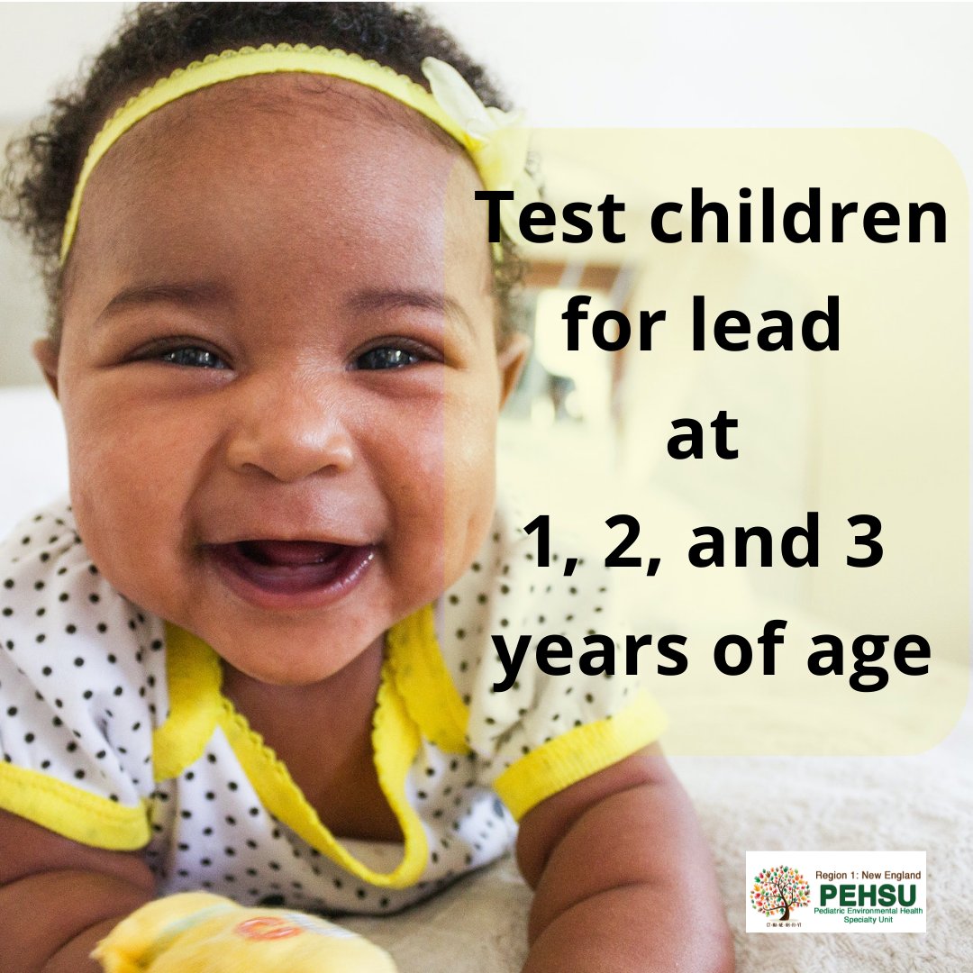 RPehsu's tweet photo. All children in Massachusetts must be tested at 9-12 month, 24 months, and 36 months. Children who live in high-risk areas are tested again at 4 years.    Learn more at https://t.co/6s5vsBf0aT
#LeadFreeKids #NLPPW2022 #PoweredbyPEHSU https://t.co/LzGZIlRkhp