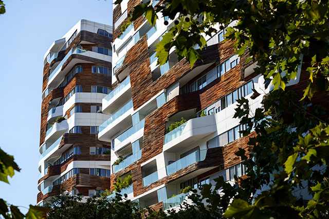 SOS Levrieri tweet media