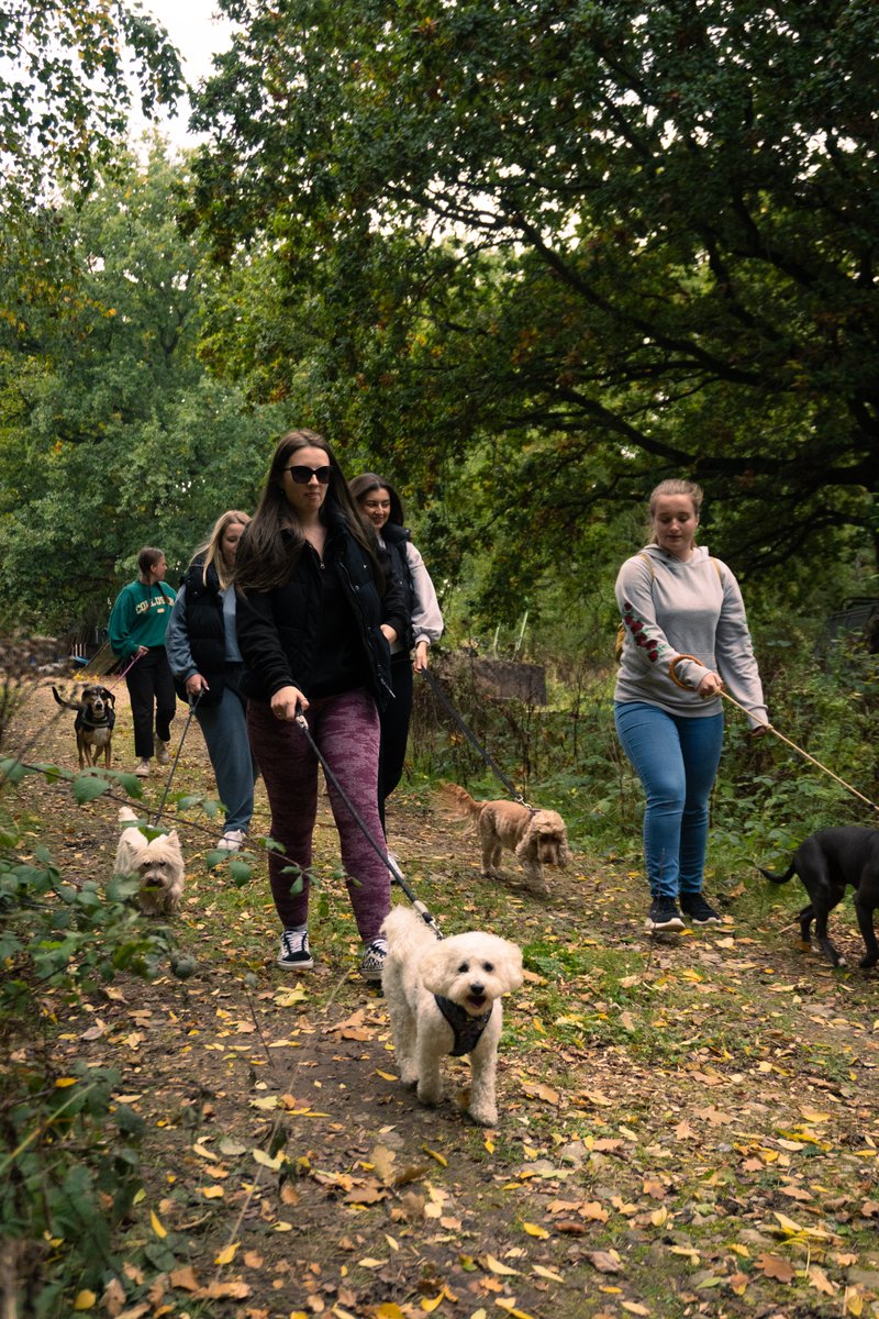 Christ Church Moves tweet media