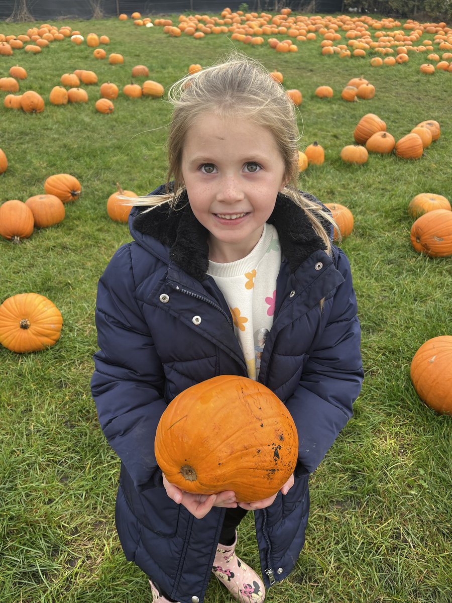 mistfall31's tweet photo. No cute pumpkin Carving from Faye! Faye wanted super scary so thatโs what we done!! We also enjoyed an afternoon down at the pumpkin patch picking the perfect pumpkin @HalsneadR #razorteeth #pumpkincarving #scary #halloween #autumm https://t.co/6xnzQg198k