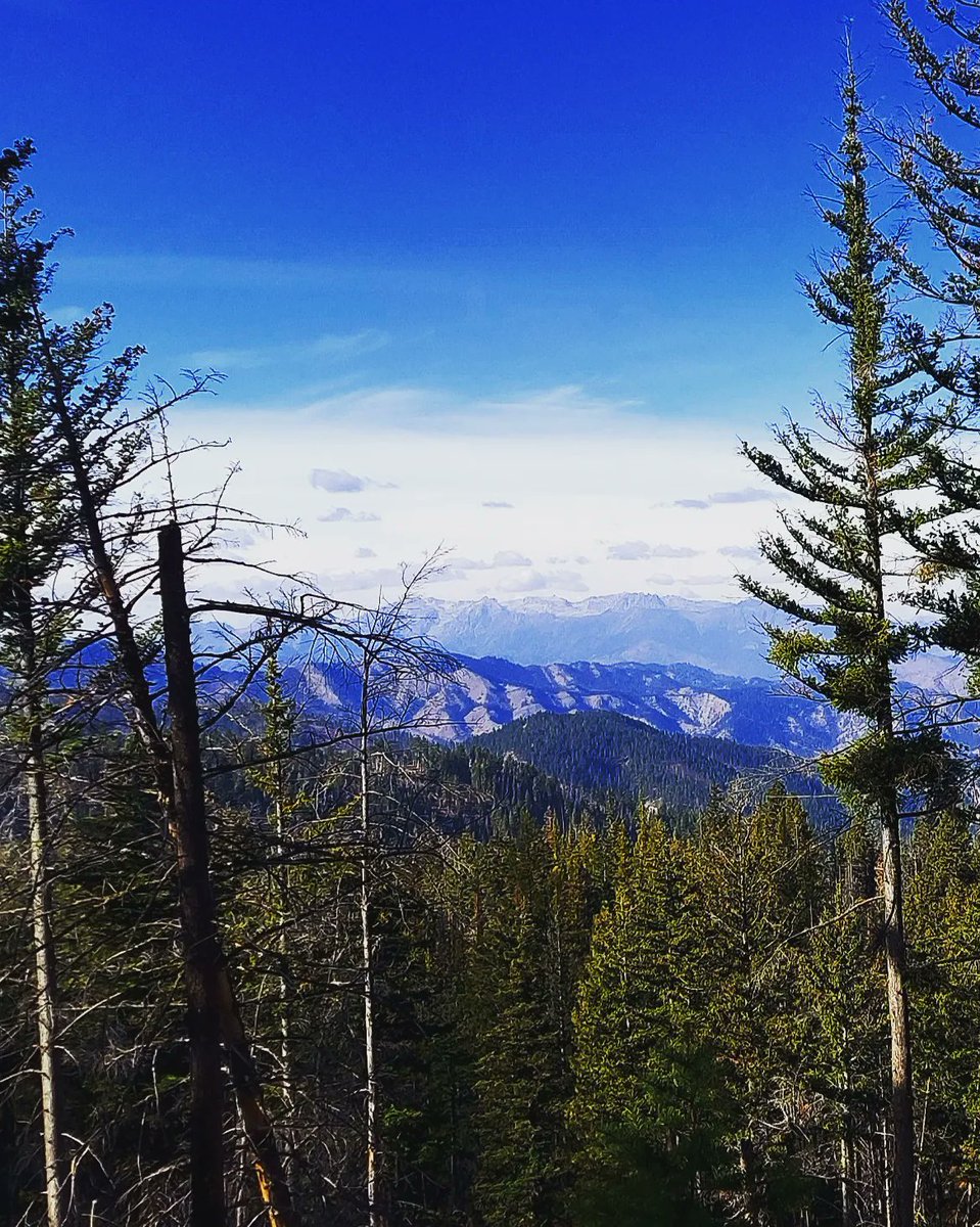 ciminorules's tweet photo. Headed out again this morning for elderberry and maaaaaybe some mushrooms. The fact that this is all now  20 minutes from my door is probably the best part of our move. https://t.co/QnNppocMkg