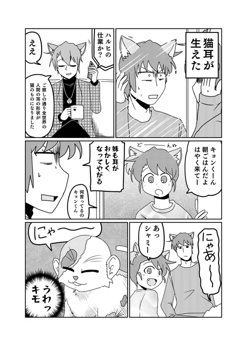 シャミのミミはネコのミミ 
