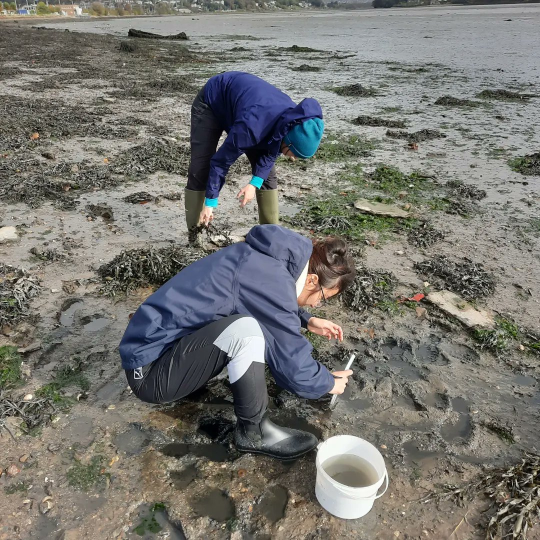 DurnfordFiona's tweet photo. Collecting my Amphi's from the Estuary at Blagdon's Meadow today with @rachelmwicks it was surprisingly fun screaming I GOT A BIG ONE ! #honoursproject #amphipods #MBIO_plym https://t.co/dx5LEWd5b4