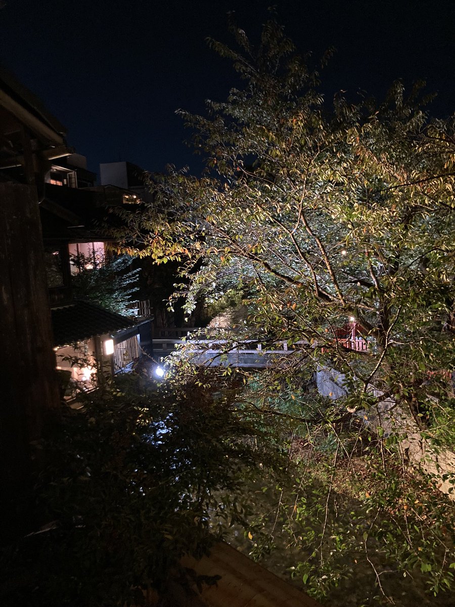 daylightfonts tweet media