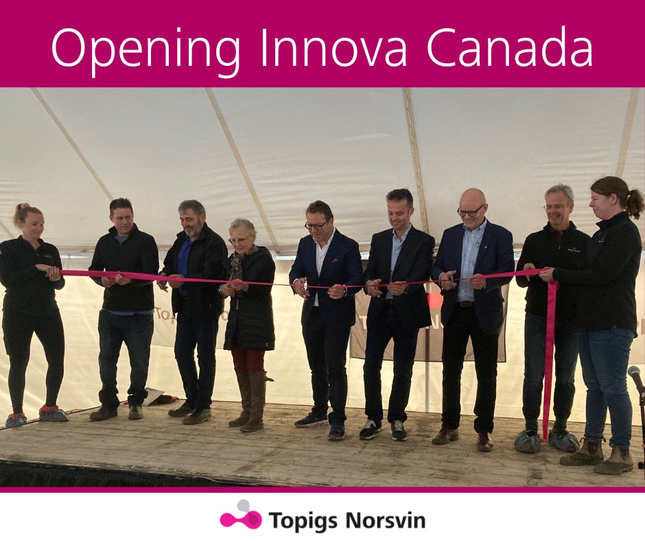 Topigs Norsvin USA on Twitter: